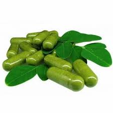 ACENTIALABS MORINGA 60 CAPS